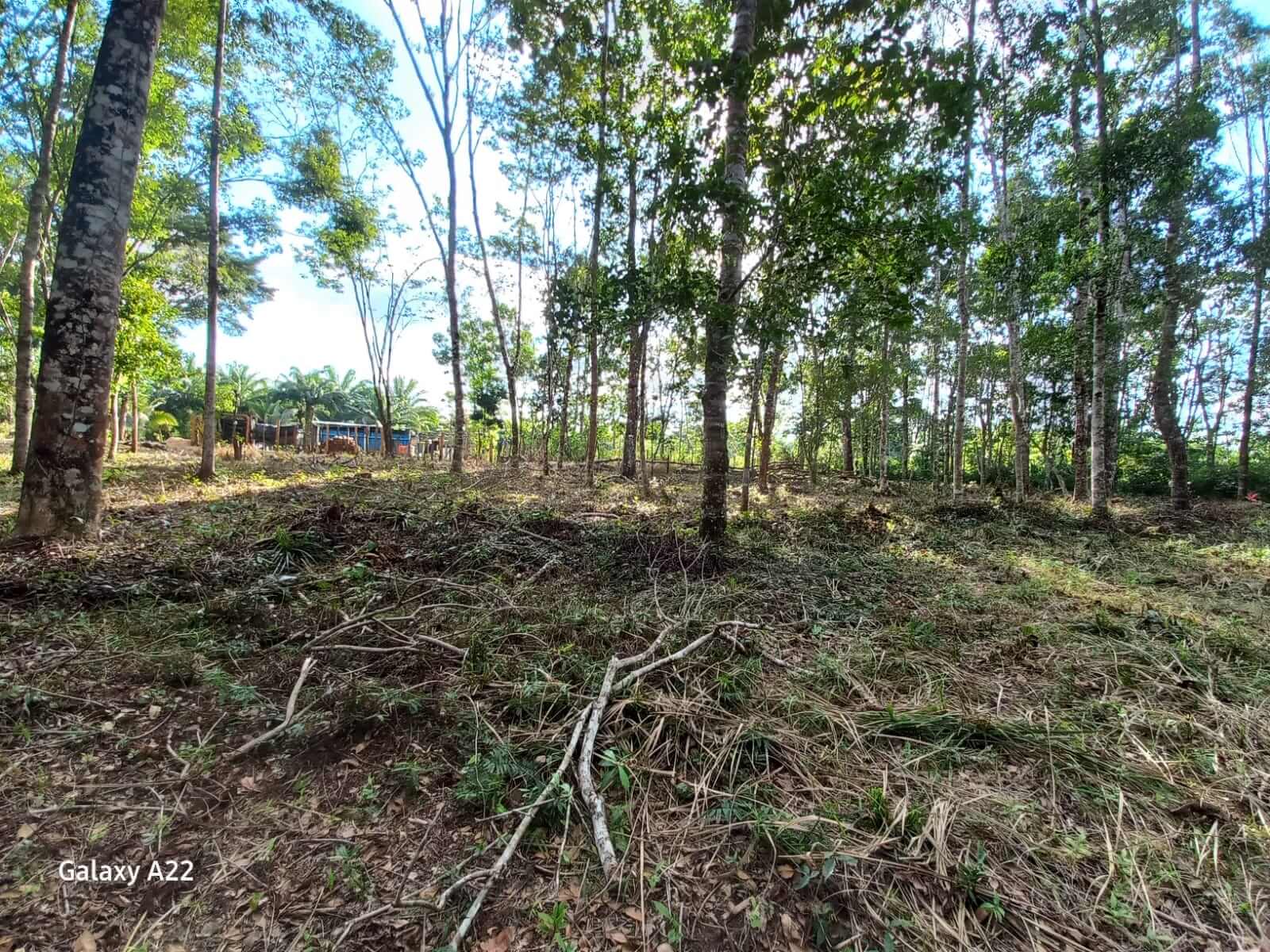 Aldea El Peñon, Ixcán, Quiché, Peñon, ,Lote,En Venta,1102