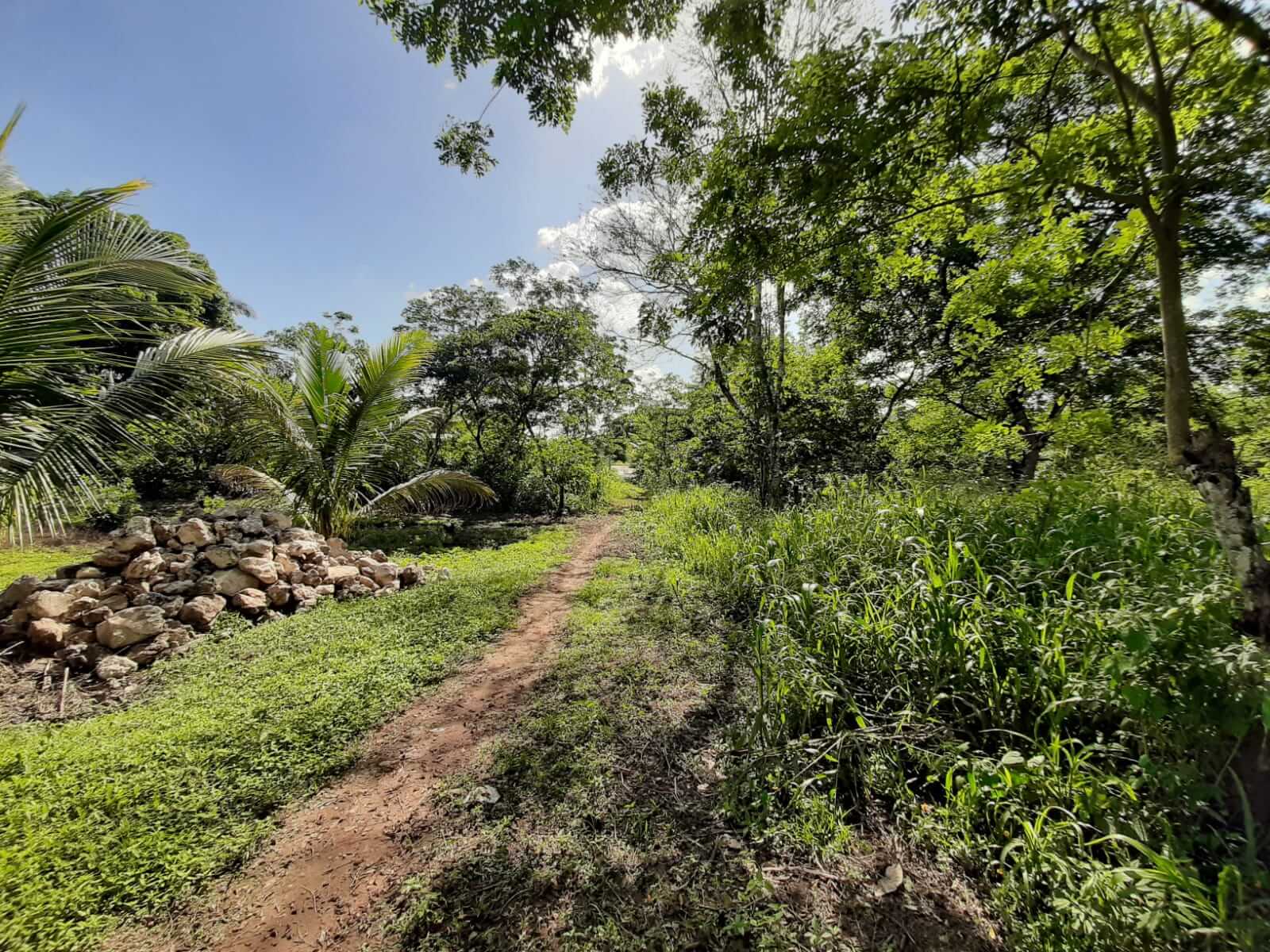 Colonia El Rodeo, Playa Grande, Ixcán, Quiché, Colonia El Rodeo, ,Lote,En Venta,1059