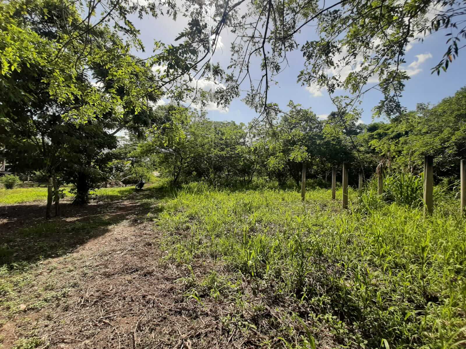 Colonia El Rodeo, Playa Grande, Ixcán, Quiché, Colonia El Rodeo, ,Lote,En Venta,1059