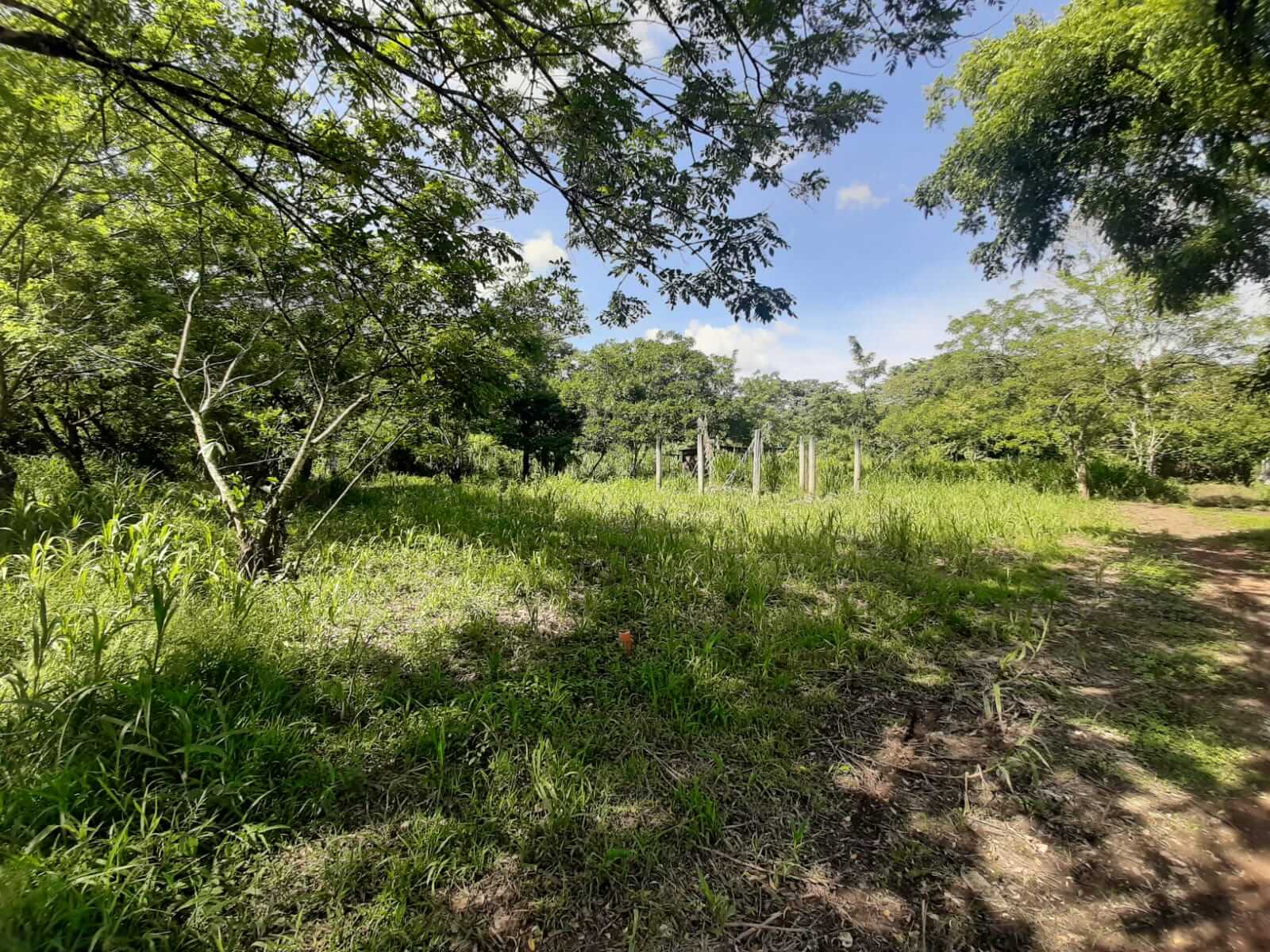 Colonia El Rodeo, Playa Grande, Ixcán, Quiché, Colonia El Rodeo, ,Lote,En Venta,1059