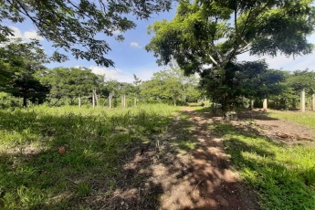 Colonia El Rodeo, Playa Grande, Ixcán, Quiché, Colonia El Rodeo, ,Lote,En Venta,1059