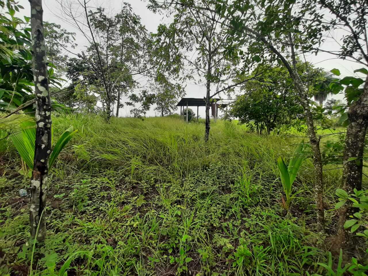 Zona 7, Playa Grande, Ixcán, Quiché, Zona 7, ,Local,En Venta,1084