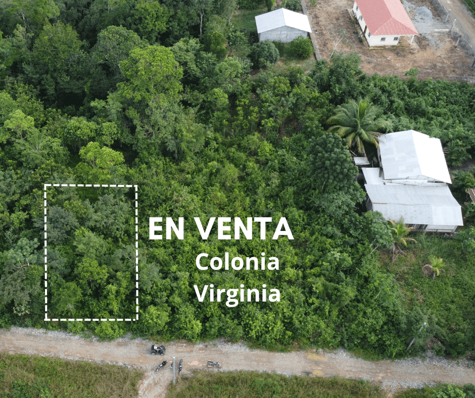 Colonia Virginia, Ixcán, Quiché, Colonia Virginia, ,Lote,En Venta,1086